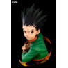 Hunter x Hunter - Gon Freecss buste