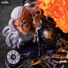 One Piece - Figurine Beasts Pirates All-Stars King, Portrait Of Pirates WA-MAXIMUM