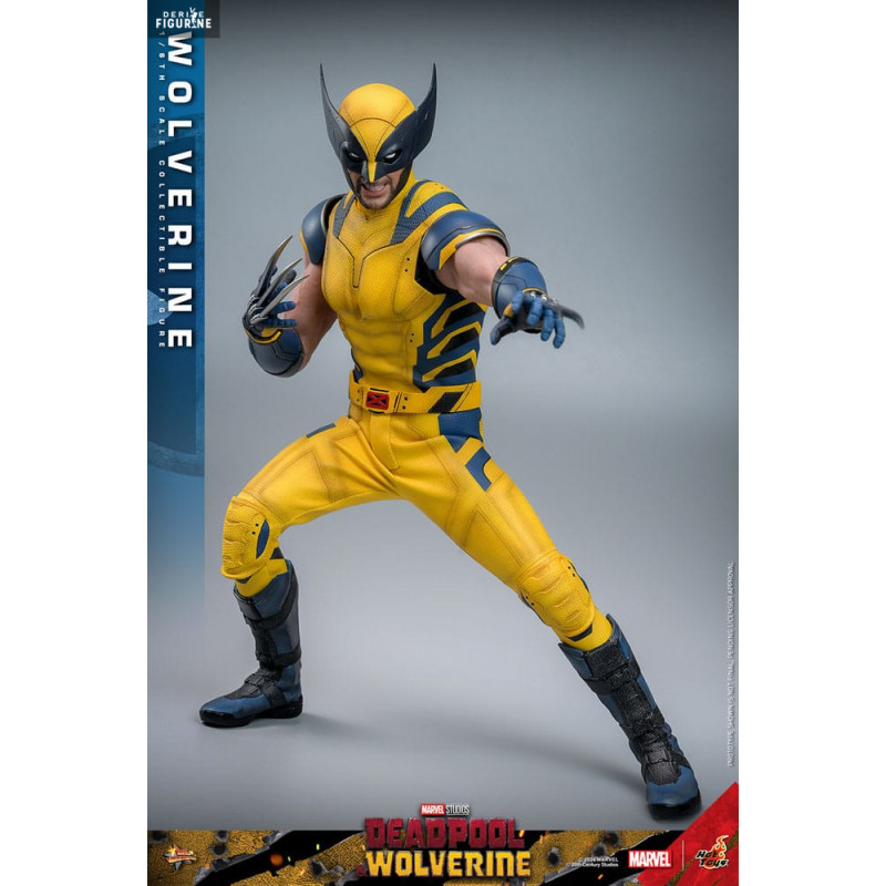 Marvel, Deadpool &...