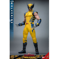 Marvel, Deadpool &...