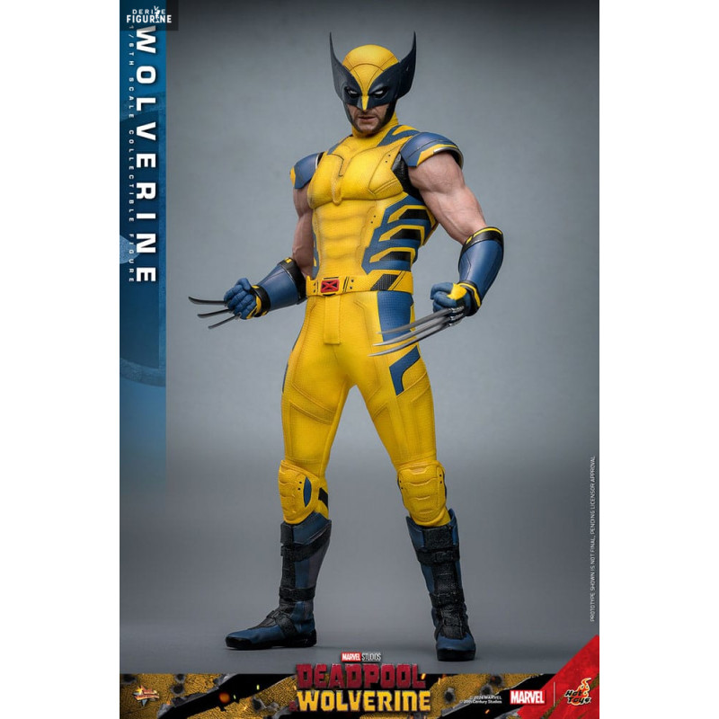 Marvel, Deadpool &...