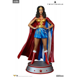 DC Comics - Figure Wonder...