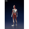 Ultraman figure (Shin Ultraman), Plastic Model Kit