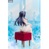 Rascal Does Not Dream - Figurine Mai Sakurajima, Bunny