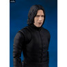 Harry Potter - Severus Snape figure, S.H. Figuarts