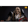 Castlevania Symphony of the Night - Alucard figure