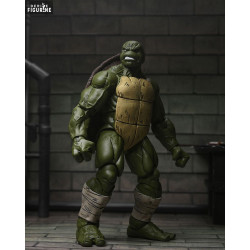 Teenage Mutant Ninja...