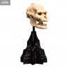 Le Seigneur des Anneaux - Réplique Skull of Lurtz