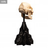 The Lord of the Rings - Skull of Lurtz replica