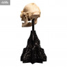 Le Seigneur des Anneaux - Réplique Skull of Lurtz