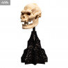 Le Seigneur des Anneaux - Réplique Skull of Lurtz