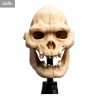 Le Seigneur des Anneaux - Réplique Skull of Lurtz