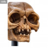 The Lord of the Rings - Skull of Gollum replica