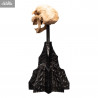 Le Seigneur des Anneaux - Réplique Skull of Moria Orc