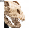 Le Seigneur des Anneaux - Réplique Skull of Fell Beast
