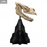 The Lord of the Rings - Skull of Fell Beast replica