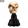 The Lord of the Rings - Skull of Cave Troll replica