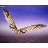 Godzilla x Kong: The New Empire - Pack Suko & Mothra figures, S.H. MonsterArts