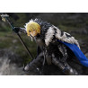 Fire Emblem: Three Houses - Dimitri Alexandre Blaiddyd figure