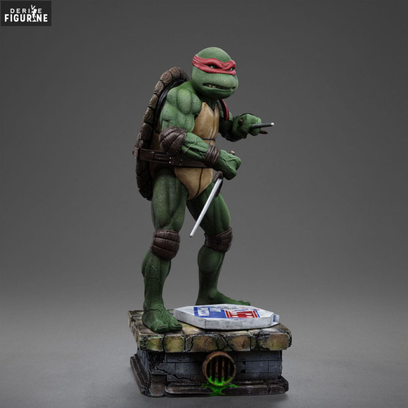 Teenage Mutant Ninja...