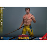 Marvel, Deadpool 3 - Wolverine figure (TVA Jacket Version), Movie Masterpiece