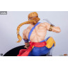 Street Fighter - Pack figures Ken & Vega, Street Jam