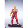 Street Fighter - Pack figures Ken & Vega, Street Jam