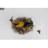 Zao Dao - Figure Little Bugs