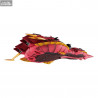 Gundam Reconguista in G - Megafauna Re. figure, Cosmo Fleet Special