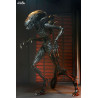 Alien: Romulus - Figure Scorched Xenomorph, Ultimate