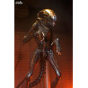 Alien: Romulus - Figure Scorched Xenomorph, Ultimate