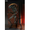 Alien: Romulus - Figure Scorched Xenomorph, Ultimate