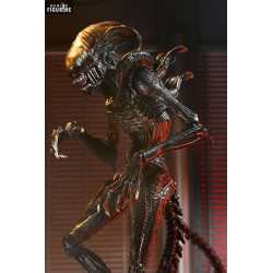 Alien: Romulus - Figurine...