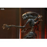 Alien: Romulus - Figure Scorched Xenomorph, Ultimate