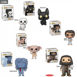Harry Potter Pop! of your...