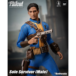 Fallout - Sole Survivor...