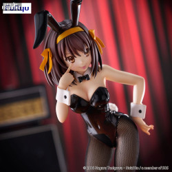 The Melancholy of Haruhi...