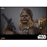 Star Wars Episode V - Figure Chewbacca with Disassembled C-3PO, Movie Masterpiece