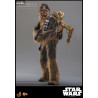 Star Wars Episode V - Figure Chewbacca with Disassembled C-3PO, Movie Masterpiece