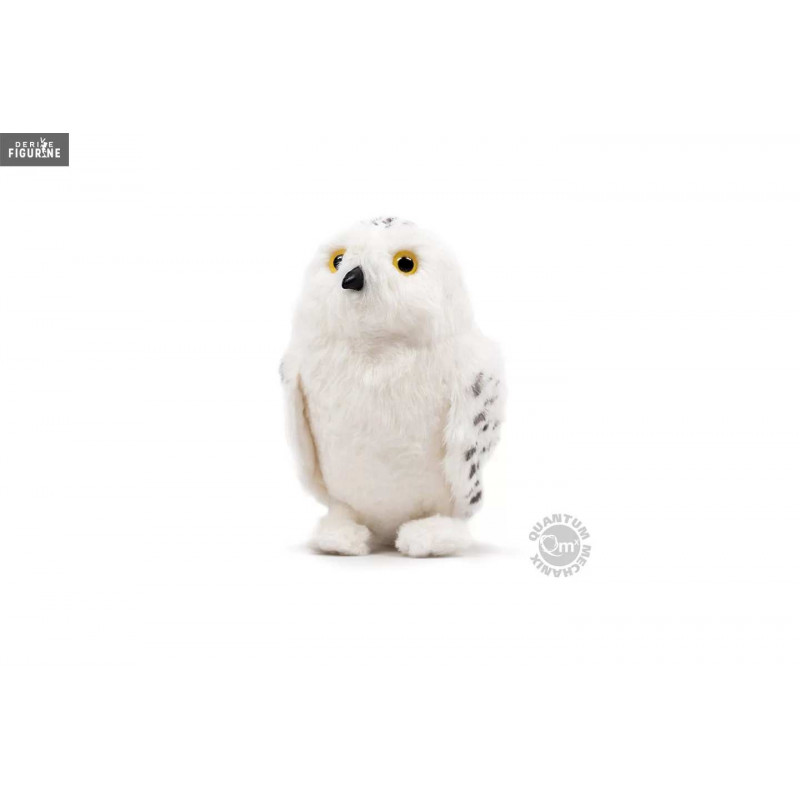 Harry Potter - Hedwig...