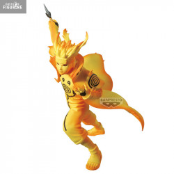 Naruto Shippuden - Figurine...