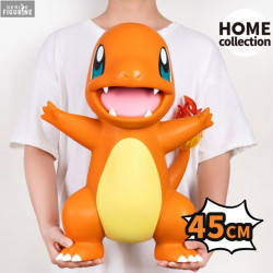 Pokemon - Charmander...