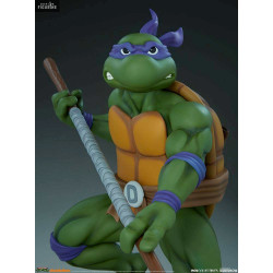 Teenage Mutant Ninja...