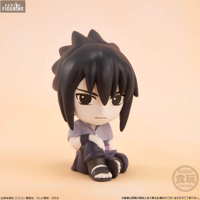 Naruto Shippuden - Pack 8...