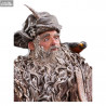 The Lord of the Rings - Radagast figure