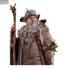 The Lord of the Rings - Radagast figure
