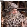 The Lord of the Rings - Radagast figure in Rhosgobel, Limited Edition