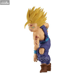 Dragon Ball Z - Super...