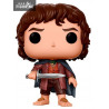 The Lord of the Rings Pop! - Frodo Baggins 444