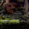 Masters of the Universe - He-man figure Unleashed, Deluxe Art Scale